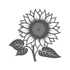 Detailed Monochrome Sunflower Illustration