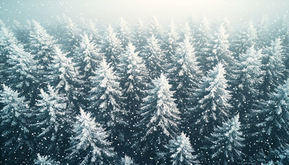 Obraz premium Aerial View of Snow Covered Pine Forest in Winter