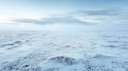 Winter Wonderland: A Serene Snowscape Under a Misty Sky