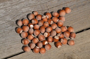 Hazelnuts lie on a wooden table.