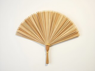 Botanical Wall Art Featuring Dried Sun Fan Palm Leaves