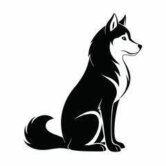 black and white wolf