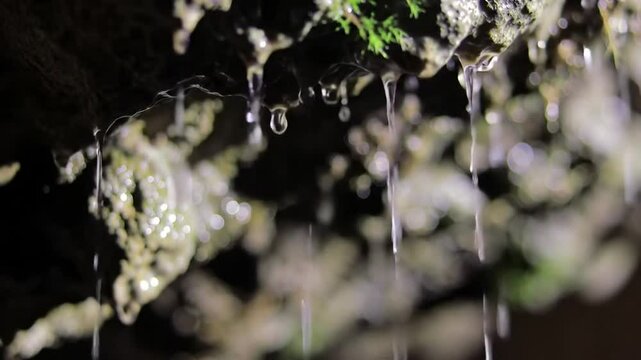 Mesmerizing Close-Up of Water Droplets Flowing from Cave Rocks with Moss Growth