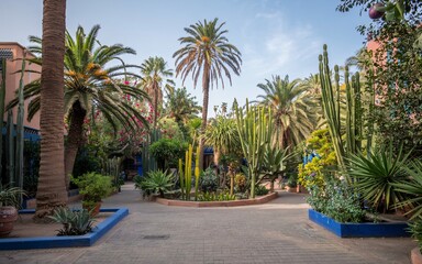 Fototapeta premium Marrakech, Morocco, Moroccan garden oasis with palms and cacti