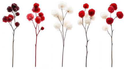 Elegant frosted berry branches in red and white for winter decorations