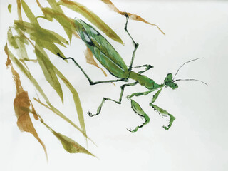 Chinese ink brushstroke style painting of a green grasshopper