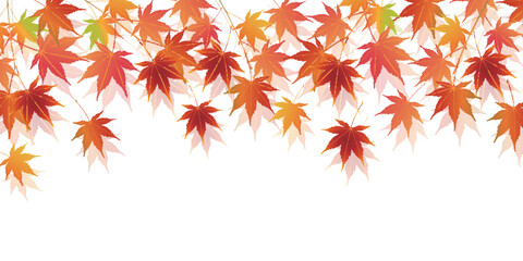 紅葉　もみじ　秋　背景	