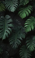 Intricate black background with deep green tropical leaves, dark green, elegant