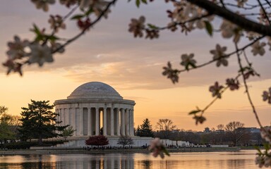 Obraz premium Paris, France ,Romantic Spring, Cherry blossoms frame Jefferson Memorial sunset