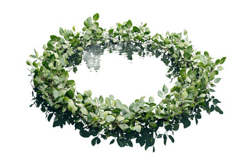 Lush Green Leaves Wreath Floating on Water a Perfect Natural Decoration