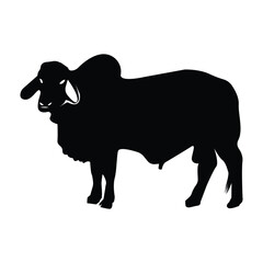Cattle Farming Line Icon