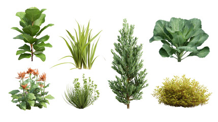 Botanical Garden: A stunning collection of vibrant plants, a botanical garden featuring diverse flora, each species displaying unique forms and textures. It&rsquo;s an oasis of beauty and tranquility.