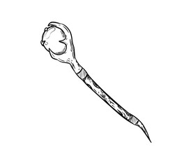 wizard staff digital drawing isolated black and white