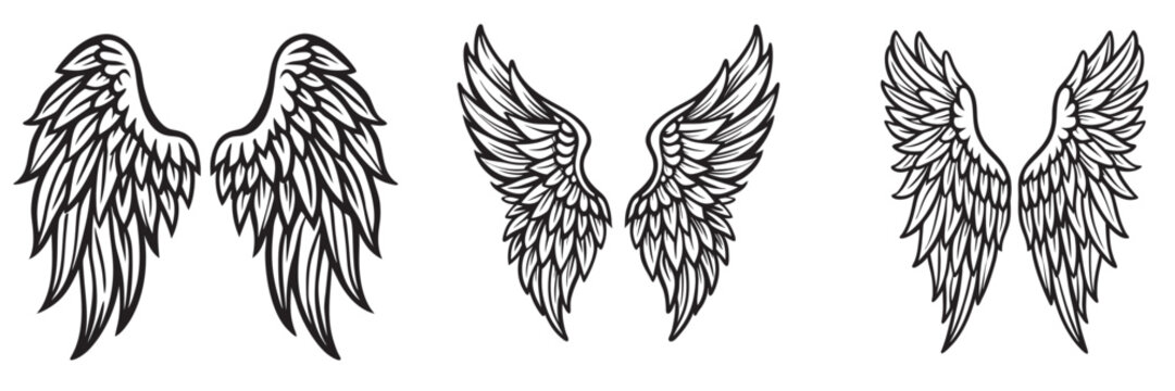 Angel wings silhouettes, Angel wings vector art, hand drawn bird or angel wings of different shape, vector illustration