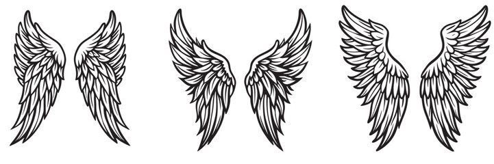 Angel wings silhouettes, Angel wings vector art, hand drawn bird or angel wings of different shape, vector illustration
