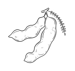 tamarind digital drawing isolated black and white