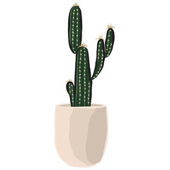 Hand drawn cactus, colorful, PNG format for decorating various pieces.