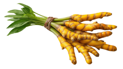 Fresh Turmeric Root: A vibrant bunch of turmeric root, complete with green leaves, ready to be used in culinary or medicinal preparations.  