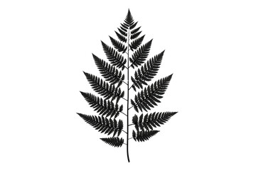 Naklejka premium A symmetrical black fern leaf with shiny texture and detailed lighting, creating a sleek, modern effect, isolated on a transparent background