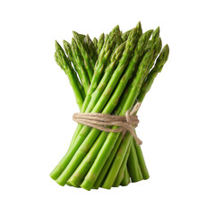 Bundle of fresh asparagus tied on transparent background