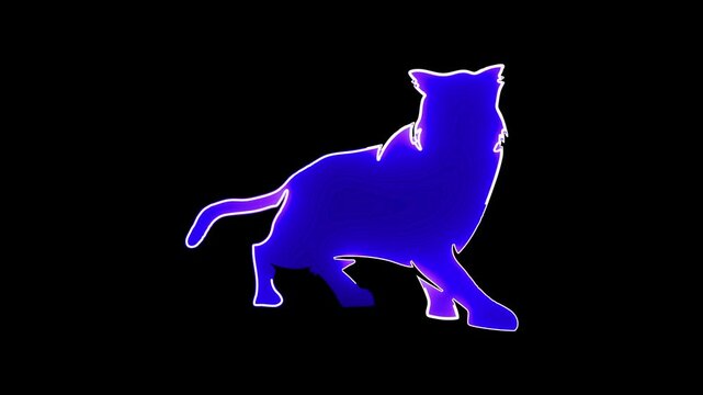  Hand drawn animal silhouette  neon animation	