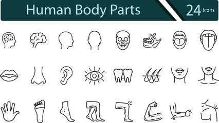 Minimalist Human Body Part Icons for Medical and Health Projects.