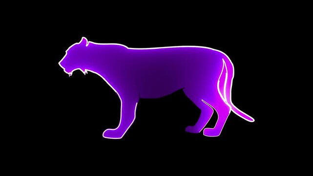  Hand drawn animal silhouette  neon animation	