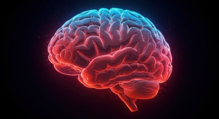 Human brain with red and blue illumination on dark background