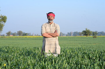 Indian farmer standing on crop plant in his Wheat field