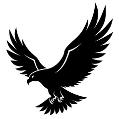 Fototapeta premium eagle in flight