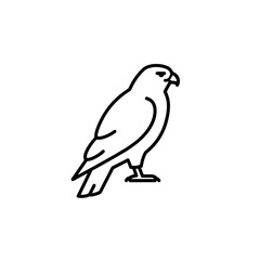 Majestic Hawk Outline: Minimalist Bird Illustration