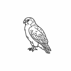 Majestic Falcon Illustration: Simple Line Art for Design