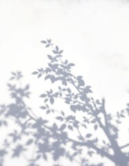 Obraz premium snow covered branches