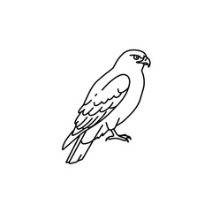 Minimalist Hawk Illustration: Sleek Bird of Prey Design