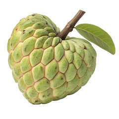 Obraz premium Green Segmented Custard Apple with Brown Stem on White Background