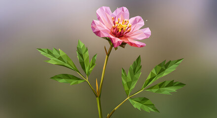 Abstract Botanical Art