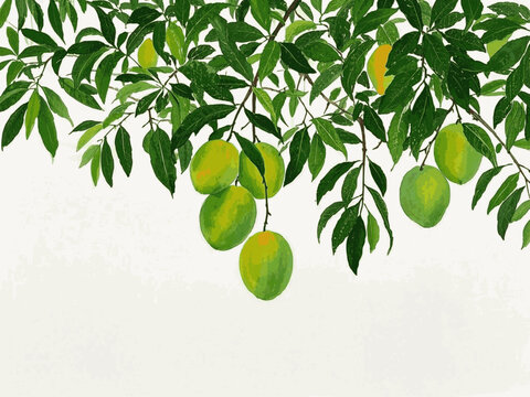 Lush Mango Grove mango tree isolated watercolor vector illustration svg