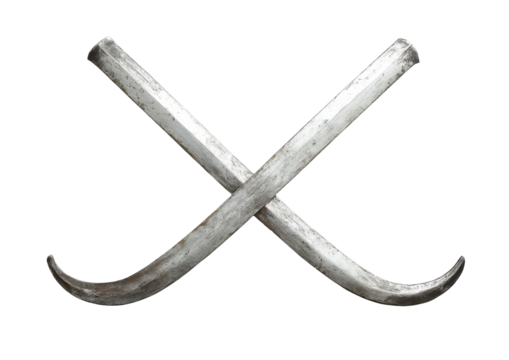 Crossed swords (2)