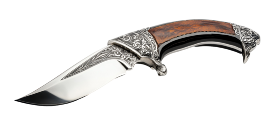 Ornate, Stylish Folding Knife