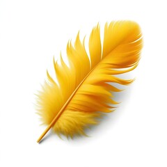 Fototapeta premium A yellow feather isolated on white background