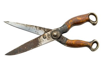 Rusty shears with aged handles