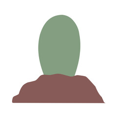 garden plant illustration
