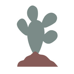 garden plant illustration