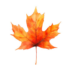 Vibrant Autumn Maple Leaf Watercolor Painting Fall foliage nature art
