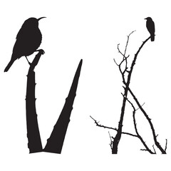 Nature-Inspired Bird Vector Design &ndash; Ideal for Wildlife and Nature-Themed Concepts .