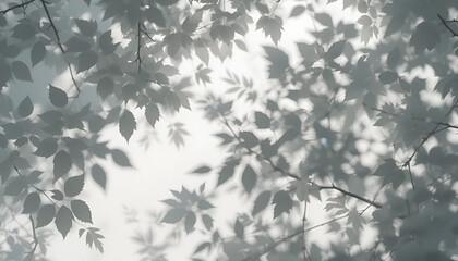 Silhouette of Fern Leaves Against a Bright Sky Background – Minimal Botanical Nature Photography with Calm Aesthetic for Design and Decor