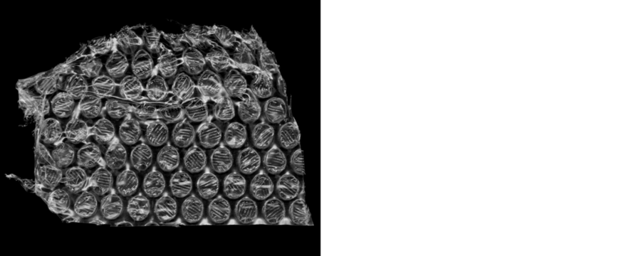 Bubble Wrap Texture Isolated for Product Packaging Mockups on a Transparent or White Background