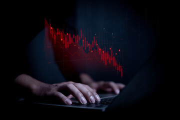 In times of financial crisis understanding the economic impact on different industries such as...