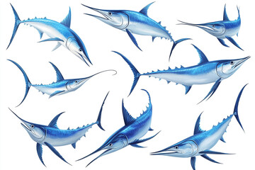Obraz premium Blue Marlin Fish Collection Aquatic Life Ocean Wildlife