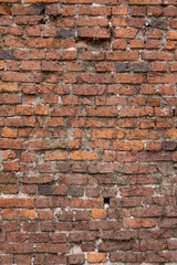 Fototapeta premium A close-up of a weathered, broken, and crooked red brick wall with dried vines